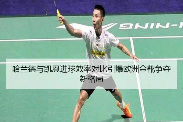 img_1788786870048_2643_0_393.jpg